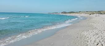 Torre Guaceto Marine Protected Area